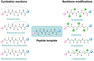 Rational Design of Peptide-Based Inhibitors Disrupting Protein-Protein Interactions